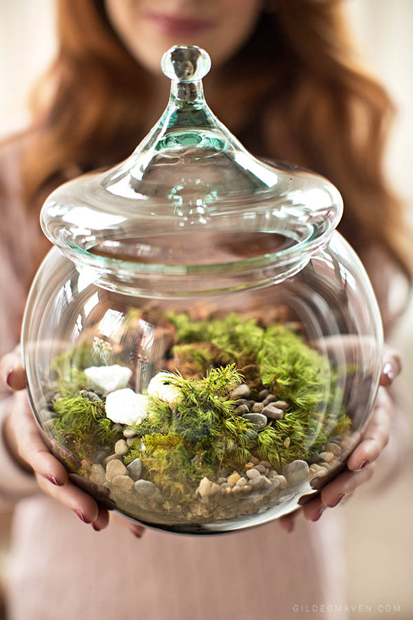 Instead of sending boring flowers, send a TERRARIUM! Ames & Oates is the best gifting company EVER! They have super chic gifts for girls AND guys. You HAVE to check them out! 